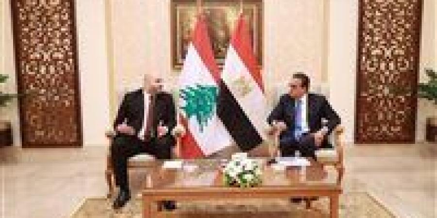 وزير الصحة يلتقي نظيره اللبناني على هامش مؤتمر أفريقيا هيلث إكسكون لبحث تعزيز التعاون الصحي