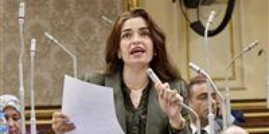 إيرين سعيد: نحتاج رؤية حكومية متكاملة في إدارة القروض.. وبقترح على وزير النقل ياخد معاه وزارة التعليم ويبني لنا مدارس