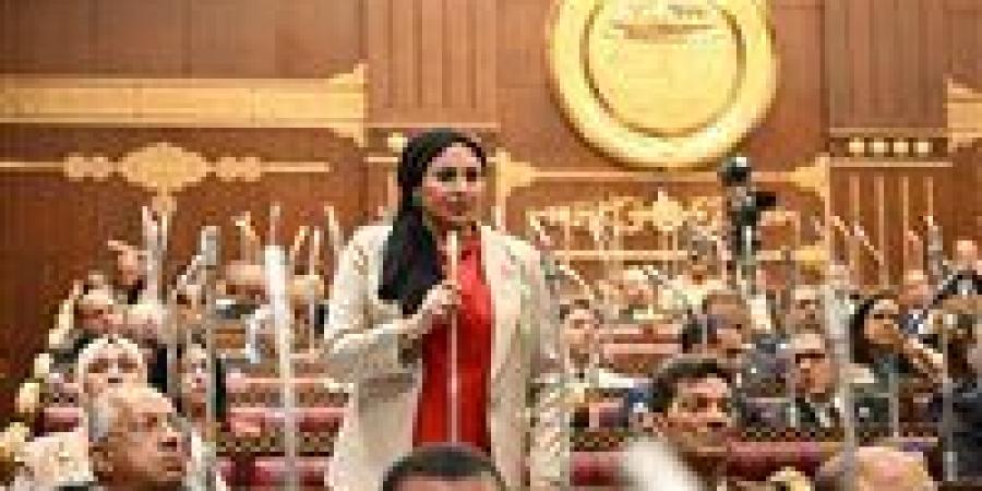النائبة شيرين صبري: كلمة الرئيس السيسي في قمة السبع عكست رؤية مصر الحكيمة تجاه أزمات العالم