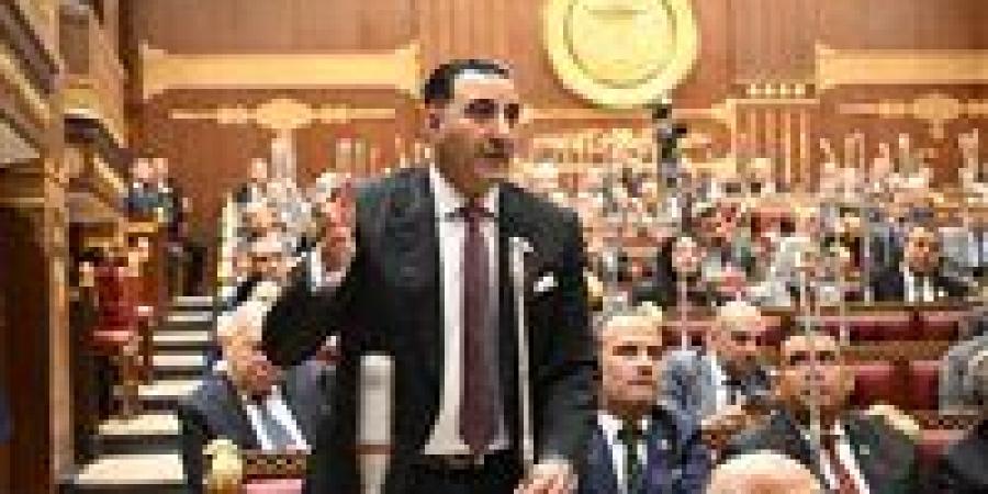 برلمانية المؤتمر بالشيوخ: لقاءات الرئيس السيسي مع وزراء خارجية المجموعة الرباعية تعكس ثقل مصر الإقليمي ودورها المحوري