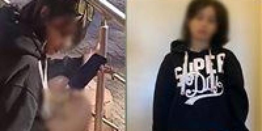 ضبط فتاة أجنبية بعد تداول فيديو لتدخينها سيجارة مخدرة بقرية سياحية في مطروح