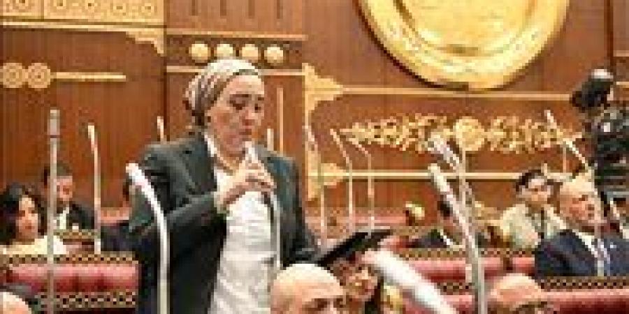 داليا الأتربي: دراسة الأثر التشريعي لقانون الشركات تعكس الحرص على تطوير مناخ الاستثمار وتحقيق التنمية المستدامة
