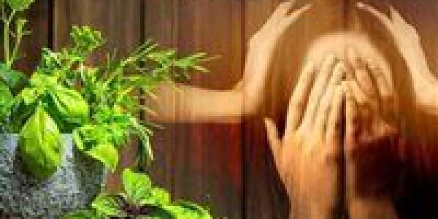 "علاج القلق والاكتئاب".. أسرار لاستعادة سلامك النفسي