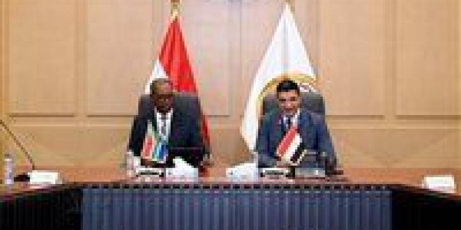 وزير الصناعة يبحث مع وزير التجارة الجنوب إفريقي سبل تعزيز التعاون الاقتصادي وتحقيق التكامل الصناعي