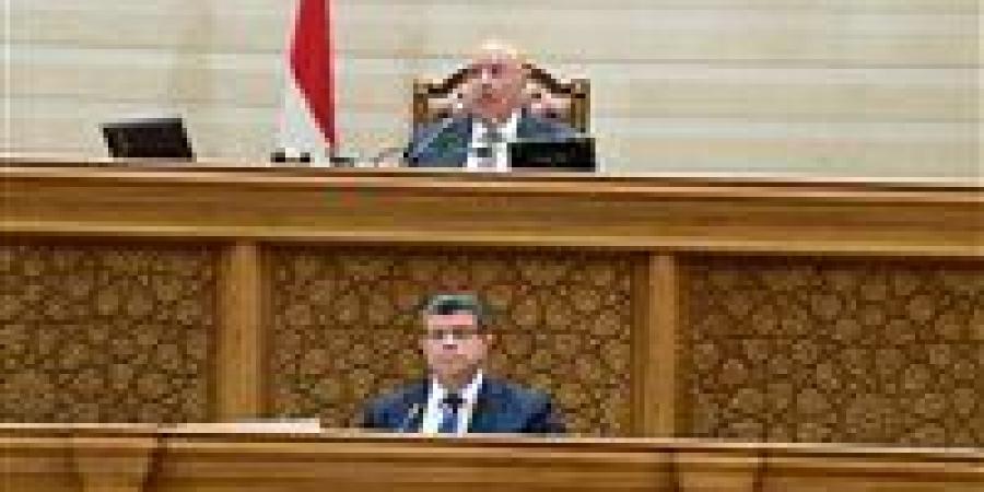 تعزيز الرقمنة ومنع الفواتير الوهمية وتيسير تأسيس الشركات.. النائب محمد سليمان يستعرض تعديلات قانون الإجراءات الضريبية الموحد