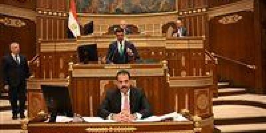 وزير الصناعة أمام الشيوخ: 7 صناعات تقود مصر نحو هدف الـ100 مليار دولار صادرات بحلول 2030