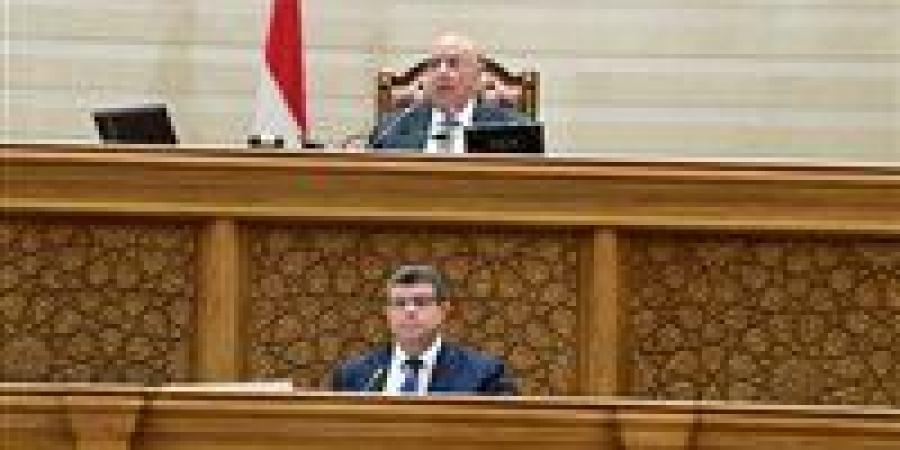 النائب محمد سليمان يستعرض تعديل قانون ضريبة الدمغة أمام البرلمان