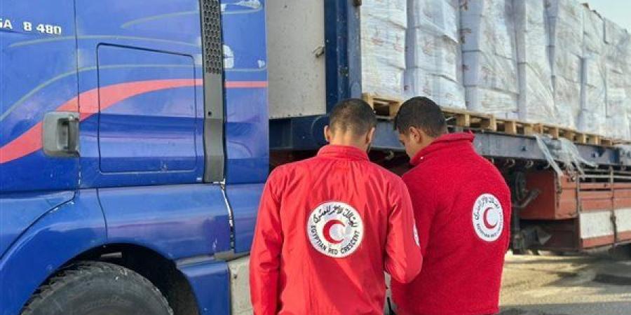ضمن "زاد العزة".. مصر تُغيث الأشقاء في قطاع غزة بقافلة مساعدات جديدة
