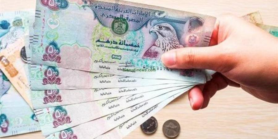 ارتفاع سعر الدرهم الإماراتي مقابل الجنيه المصري اليوم في البنوك