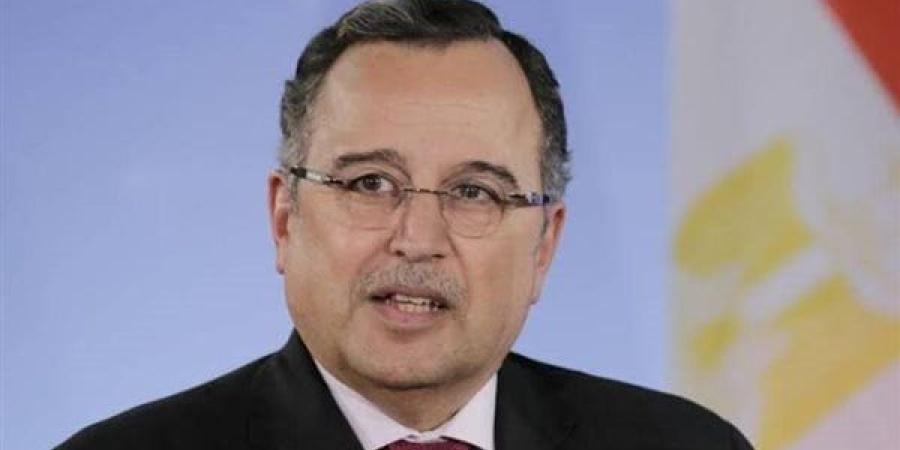 نبيل فهمي: الجولان أرض سورية محتلة
