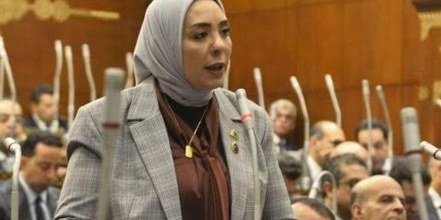 النائبة وفاء رشاد: مصر تضع استقرار ليبيا في مقدمة أولوياتها.. وتتحرك انطلاقًا من مسؤوليتها تجاه الأشقاء