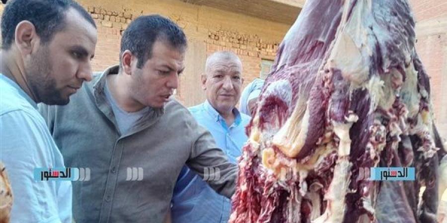 محافظ أسيوط: ضبط لحوم مخالفة وسولار وأعلاف مجهولة المصدر خلال حملة مفاجئة