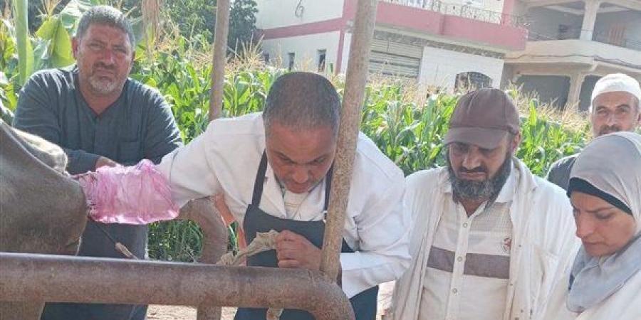 قافلة بيطرية مجانية تُعالج 2044 حيوانًا وطائرًا بقرية "النحارية" في الغربية