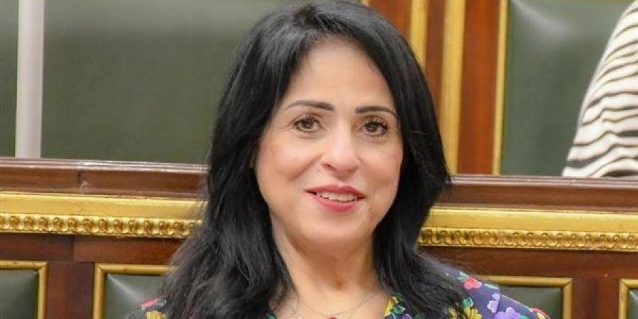 النائبة ميرال الهريدي: الشائعات سلاح موجه نحو نسيج المجتمع واستقراره