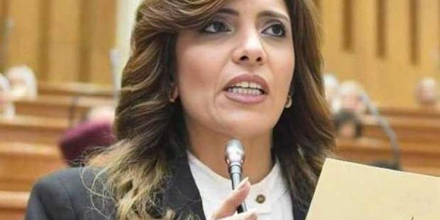 النائبة رانيا الشيمي: مصر قدمت نموذجًا رائدًا في مواجهة الإرهاب وترسيخ دعائم الأمن والاستقرار