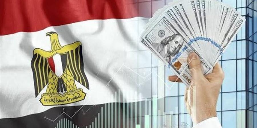 أستاذ تمويل: الدولة المصرية تنتقل من التملك والإدارة إلى التنظيم والرقابة