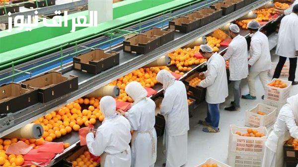 رئيس مركز تغير المناخ يؤكد استصلاح 2.4 مليون فدان خلال 10 سنوات دعما للإنتاج والصادرات الزراعية