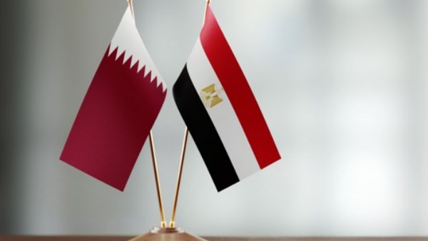 حامد فارس: العلاقات المصرية الإماراتية تجسد نموذجاً يحتذى به وتدعم استقرار المنطقة