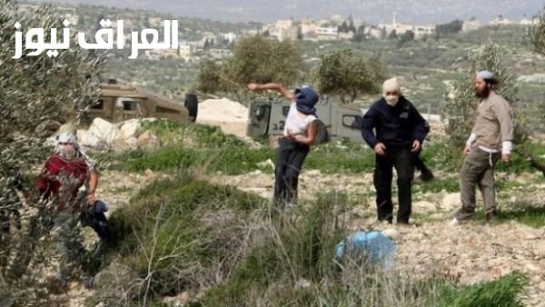 مستوطنون إسرائيليون يقومون بجولات استفزازية في خلايل اللوز ببيت لحم
