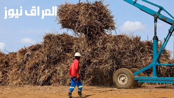 جنوب أفريقيا تزيد السعر المرجعي للسكر لحماية المنتج المحلي من الواردات الرخيصة