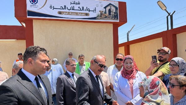 <p><strong>محافظ السويس يشرع في التشغيل التجريبي لمأوى الكلاب الشاردة استجابة لشكاوى المواطنين، لتعزيز سلامة الأهالي ورعاية الحيوانات</strong></p>