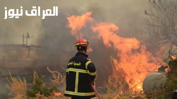 ارتفاع عدد ضحايا حرائق الغابات في الجزائر إلى 12 قتيلاً وعشرات المصابين
