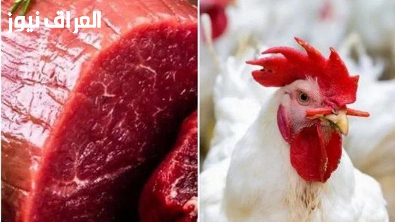 مصر تستثمر 200 مليار جنيه في قطاع الدواجن و600 ألف طن من اللحوم الحمراء