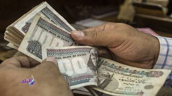 اكتشف كيفية التحقق من وجود قرض باسمك دون علمك عبر منصة مصر الرقمية