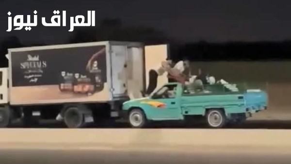 فيديو مثير يكشف عن سرقة 140 كيلو من الدواجن أثناء المطاردة