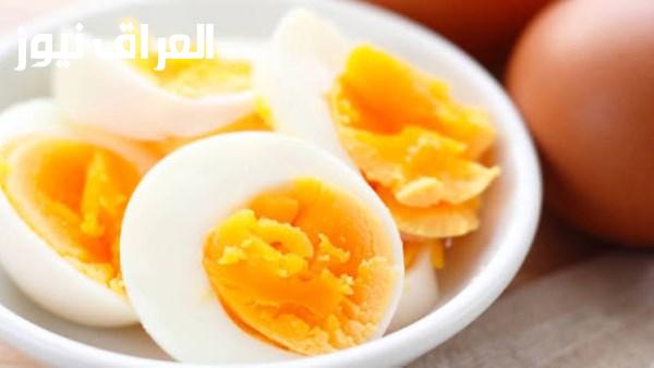 رئيس شعبة بيض المائدة يؤكد عدم رصد إصابات بالسالمونيلا في الدجاج