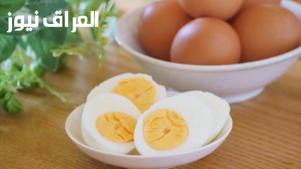 أمان تناول البيض في الصيف وحقائق عن انتشار السالمونيلا ووسائل الحماية