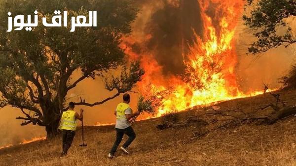 الأزهر ومفتي الجمهورية يقدمان التعازي للجزائر في ضحايا حرائق الغابات ويطلبان رفع البلاء عن شعبها الشقيق