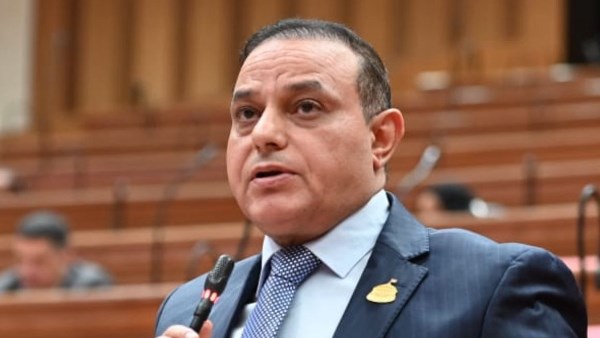 برلماني يؤكد أن تنفيذ توجيهات الرئيس السيسي حول التحول الاقتصادي يهدف إلى تحقيق تأثير فعّال على المواطن