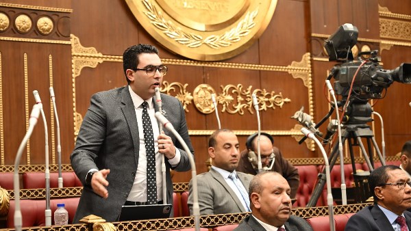برلماني: سد «جوليوس نيريري» إنجاز مصري يمثّل قوة الدولة ومكانتها