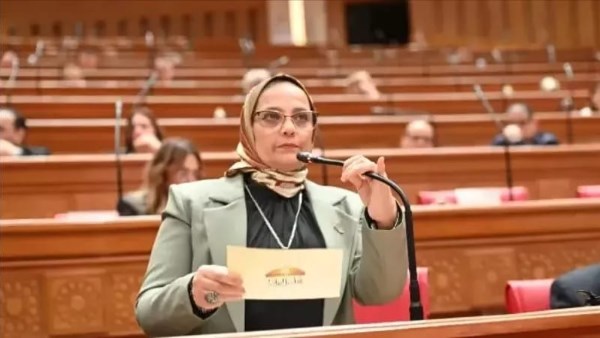 توجيهات الرئيس السيسي تعزز حماية المواطن وتضع التعليم والتمويل تحت رقابة أكثر فعالية وفقاً لتصريحات برلمانية