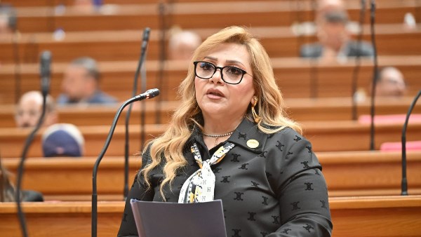 برلمانية تؤكد أن توجيهات الرئيس السيسي تعزز من أولوية تطوير التعليم