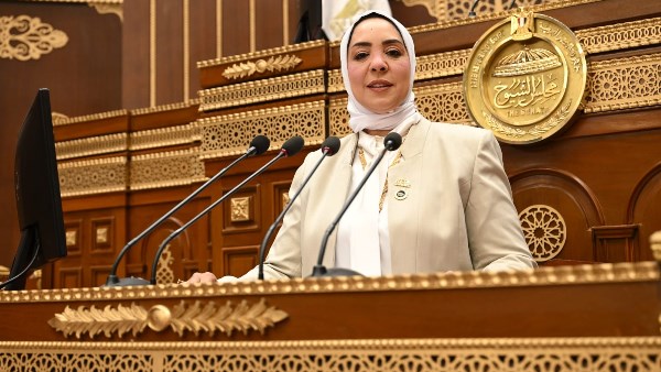برلمانية تطالب الحكومة بتحويل توجيهات الرئيس السيسي إلى خطط تنفيذية واضحة
