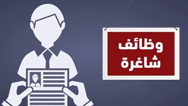 فرص عمل جديدة برواتب تصل إلى 30 ألف جنيه في 13 محافظة وفق إعلان وزارة العمل