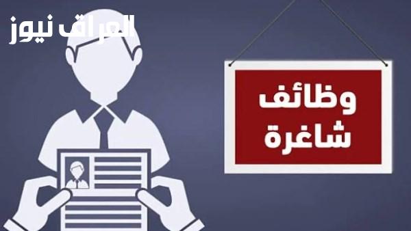 وظائف وزارة العمل لعام 2026 فرص للمهندسين والفنيين والمحاسبين بمرتبات تصل إلى 16 ألف جنيه