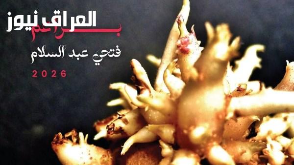 إطلاق معرض براعم للفنان فتحى عبد السلام في الفنون التشكيلية يوم الأربعاء