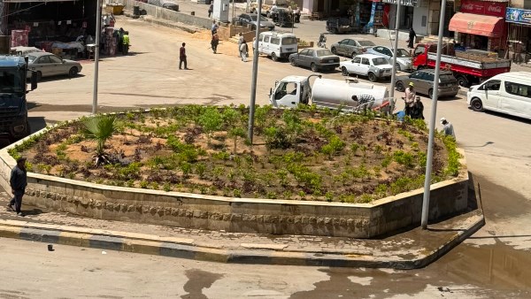 الجيزة تواصل جهودها في تجميل الميادين من خلال زراعة أحواض الزهور في ميدان المطافي بالمنيرة الغربية
