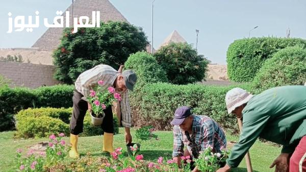 الجيزة تعزز كفاءة منطقة المتحف المصري الكبير ومدخل الأهرامات من خلال أعمال نظافة وتجميل شاملة