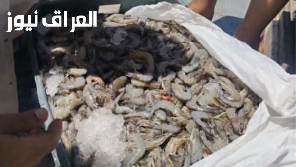 ضبط كمية من الجمبري غير صالحة للاستهلاك الآدمي في سنورس الفيوم