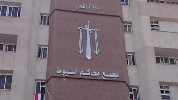إعدام أولاد عم بتهمة قتل شخص وإصابة آخرين نتيجة خصومة ثأرية في أسيوط