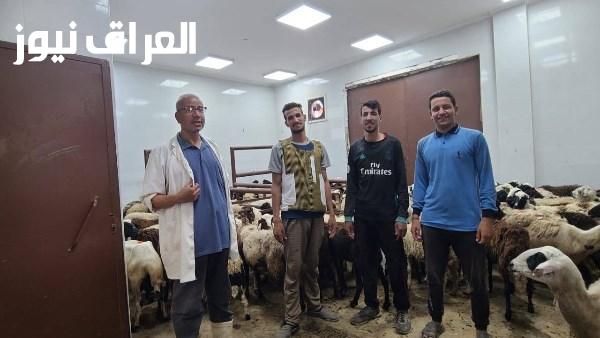 محافظة أسيوط تنفذ حملات تحصين شاملة وندوات توعوية للوقاية من الأمراض المشتركة