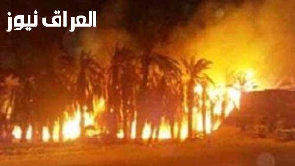 حريق يسبب تدمير أشجار النخيل في الأقصر