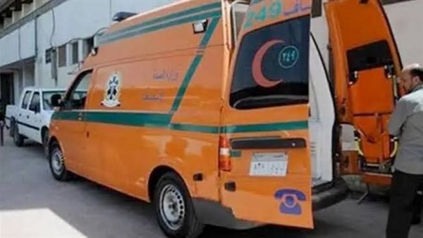 مصرع شخص وإصابة آخر نتيجة حادث في الدقهلية