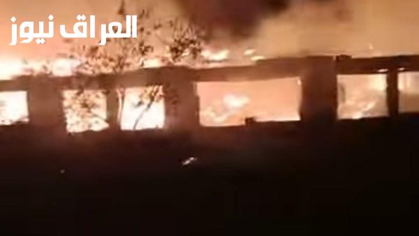 خسائر تصل إلى ثلاثة ملايين جنيه السيطرة على حريق ضخم في مزرعة دواجن بالمحلة