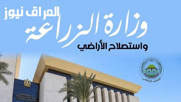 ليمون مصر 25 الزراعة تسجل صنفا جديدا خاليا من البذور والشوك