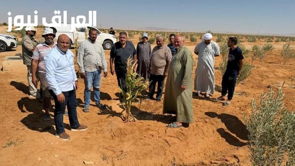 بدء العام الرابع لمبادرة اسأل واستشير لدعم مزارعي سيناء وتجمع النوافعة بالحسنة